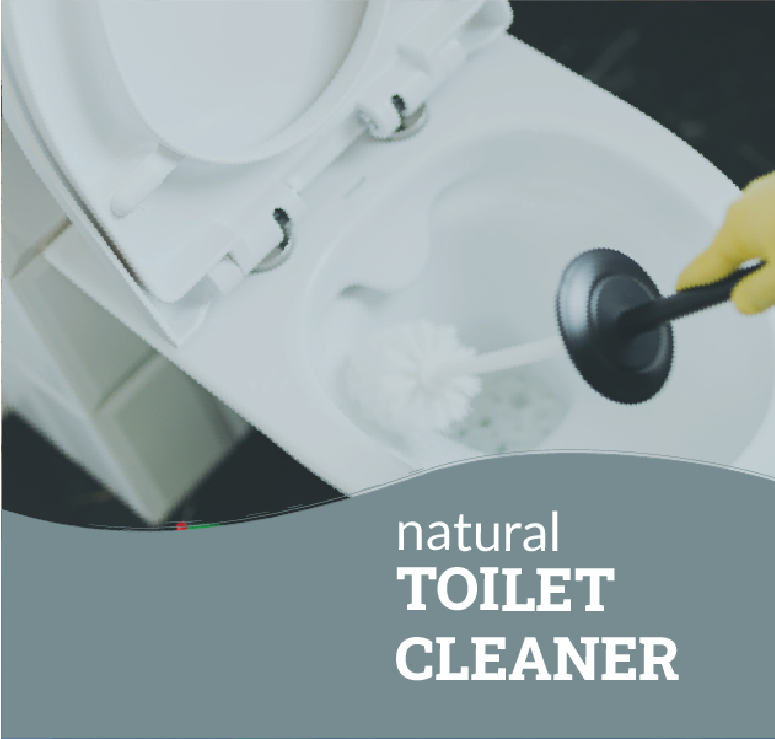 
                  
                    Natural Toilet Cleaner  [ 2.5 L]
                  
                